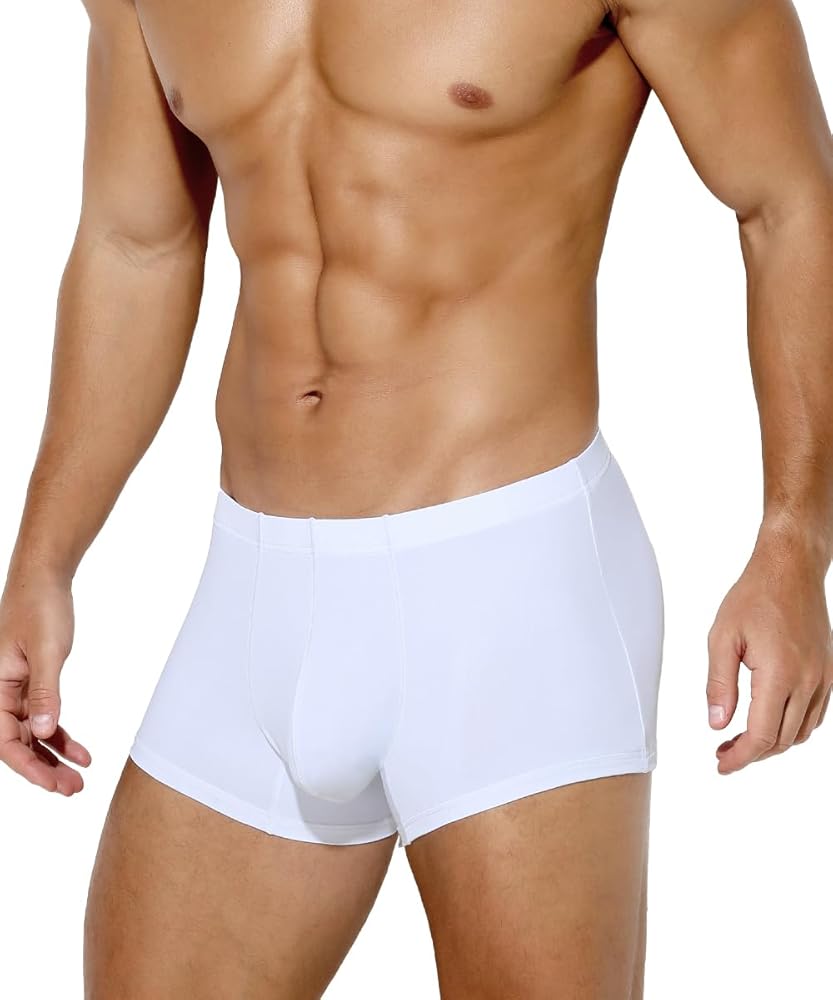 Arjen Kroos Men's Sexy Silky Trunks Underwear Boxer Briefs 1 Pack